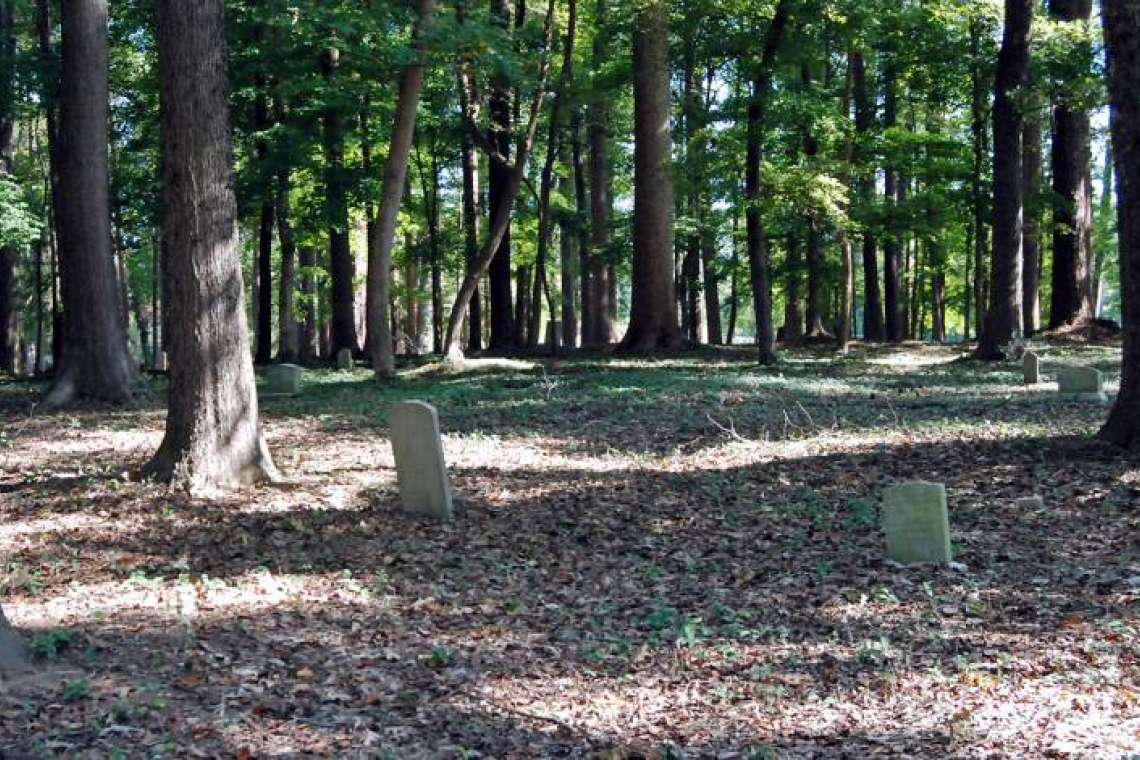 Graves in forest