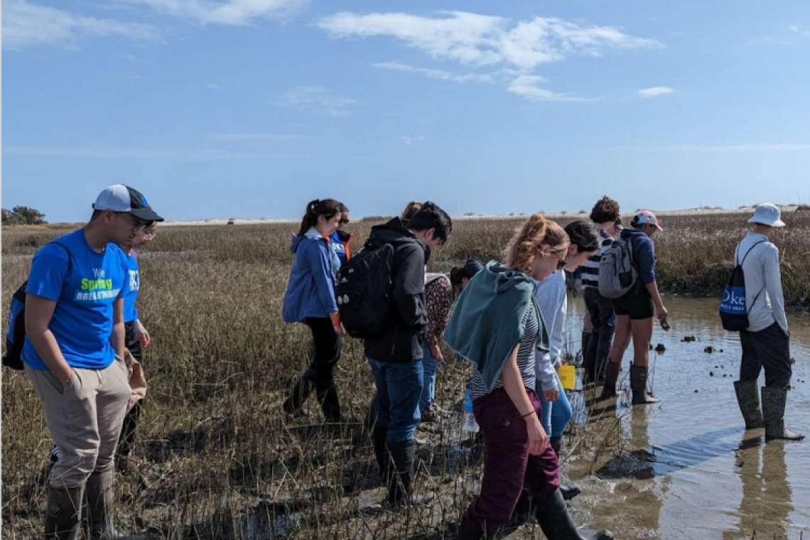 Students walking through marsh