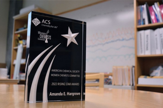 Amanda Hargrove was honored with the 2022 Rising Star Award from the American Chemical Society. Photo by Stephen Schramm.