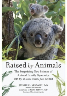 Raised by Animals: The Surprising New Science of Animal Family Dynamics