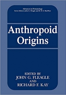 Anthropoid Origins (Advances in Primatology)