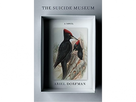 The Suicide Museum book cover
