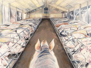 Drawing of a pig walking through rows of other pigs in cages