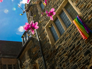 campus window with pride flag 
