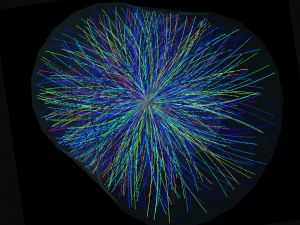 Simulated reconstruction of a nuclear collision